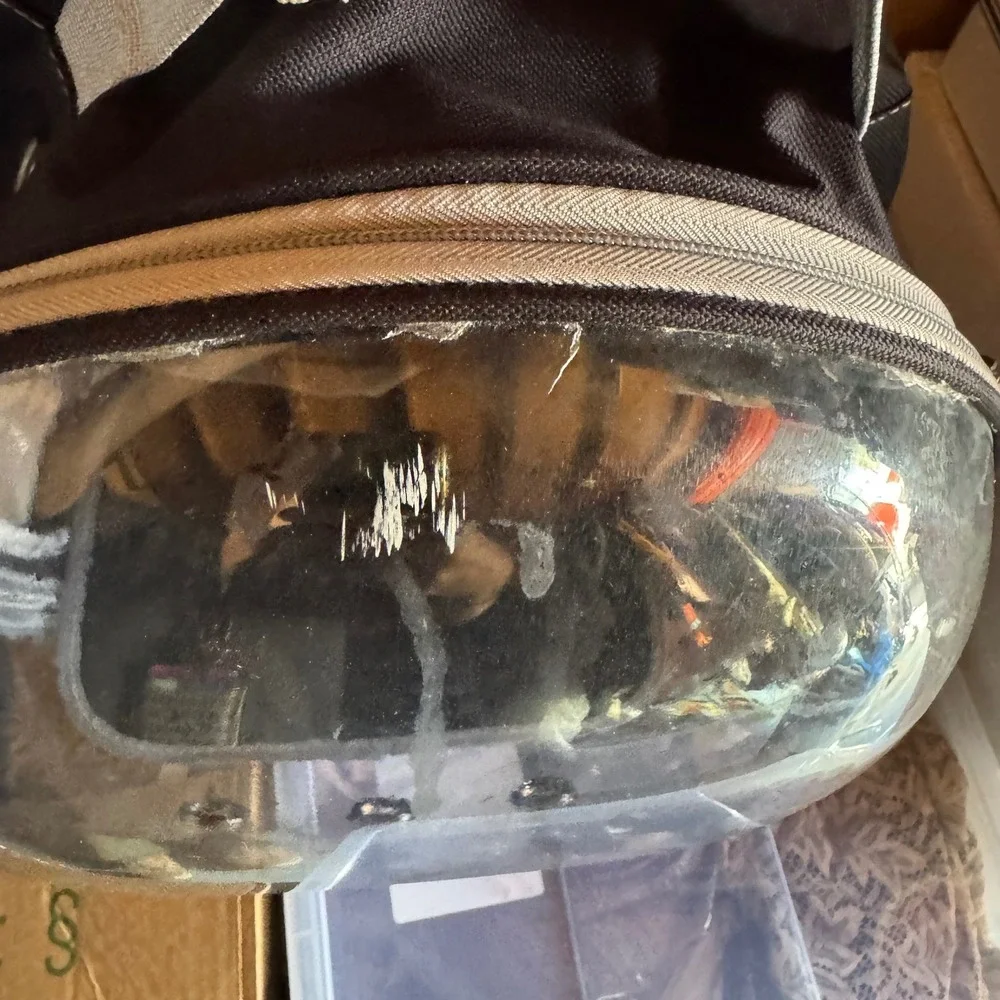 Black Clear Bubble Pet Carrier Backpack Cat Small Dog Travel Bag Ventilated